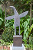 Small Sea Bird